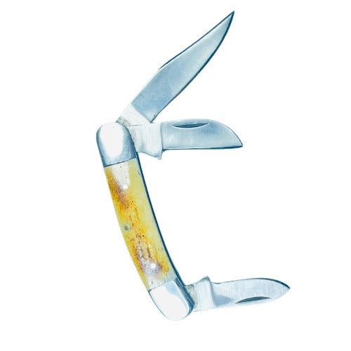 Classic Triple-Blade Folding Pocket Knife – Bone Handle with Stainless Steel Blades